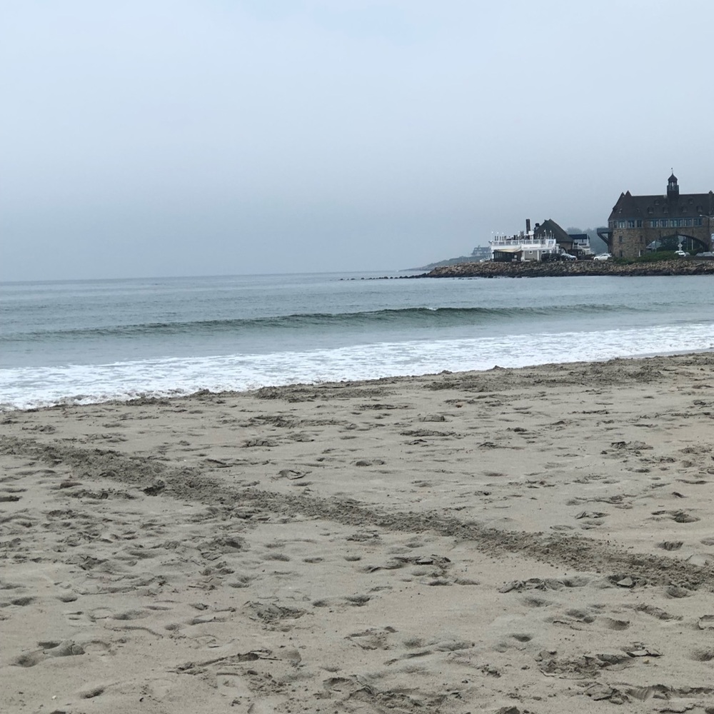 Meet your Posher, Tamar